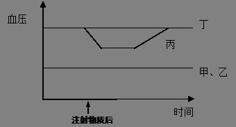 600981 这种妖孽股怎么收 还是 不要考虑自己血压 波动能力