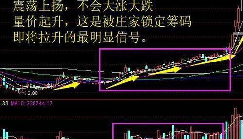 我想把股票锁定五年如何锁定？