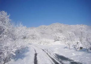 切换镜头雪景怎么弄好看？怎么把天气切换成下雪天气