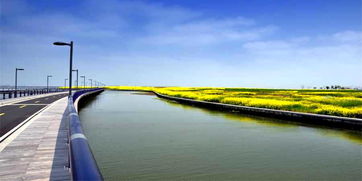 澄湖路智能停车场,苏州阳澄湖半岛春游踏青安全指南苏州阳澄湖一日游