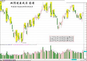 股市双阴柱量并齐是什么意思