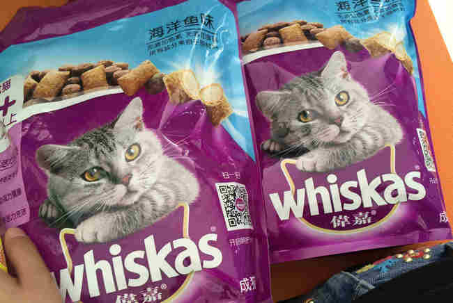 国产猫粮排行榜前十 物美价廉的品牌猫粮