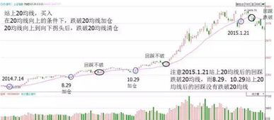 假如用20万炒股一年，月回报20%正常吗，什么级别