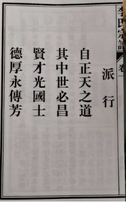 老桐城李姓字派汇编