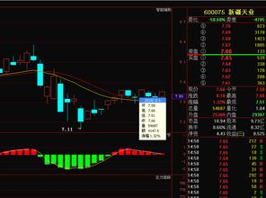 股票新疆天业600075近期如何操作？