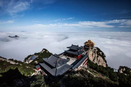 老君山停车场收费是多少老君山停车场在哪里(老君山停车场几点停车免费)