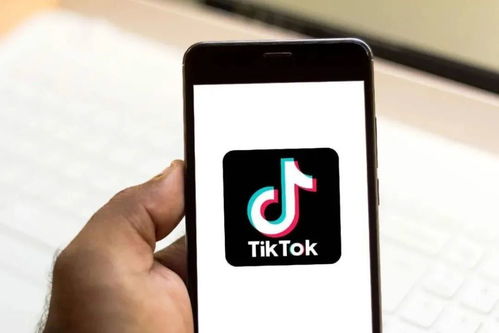 国内怎么登录tiktok_Tiktok运营全攻略