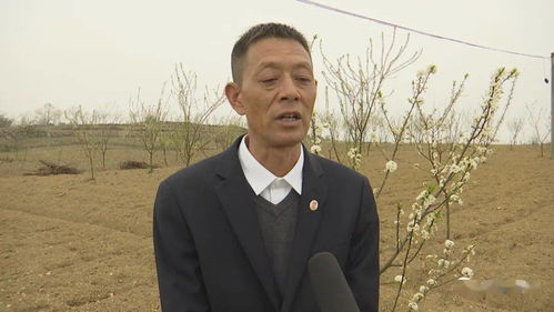 安龙 订单式 红高粱种植打造坡地经济助农增收