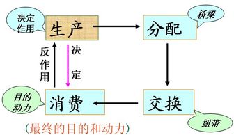 为什么剩余价值生产使生产与消费的矛盾尖锐化?如何解决这个矛盾?