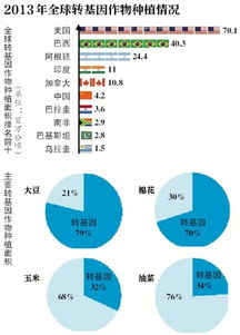 小麦转基因技术及其应用研究