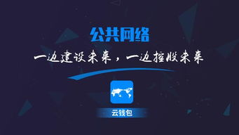 什么是公共网络？云钱包打造的全民控股，分股到户，能够实现吗？