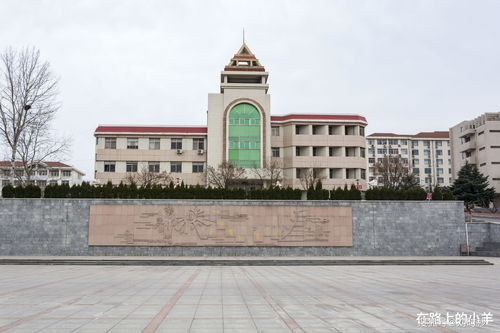 没名气但很牛的大学 (不知名但有实力的大学)