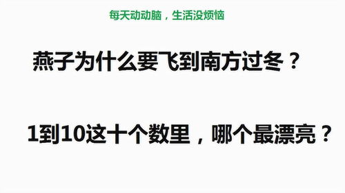 脑筋急转弯 燕子为什么要飞到南方过冬 你猜到原因了吗 