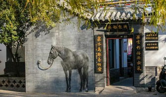 济南老街巷,曲水流觞尽风雅