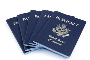急 在美国旅游丢失护照怎么办 
