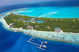 马尔代夫神仙珊瑚岛跑步体验不一样的海洋梦幻（马尔代夫神仙珊瑚岛恐怖事件）