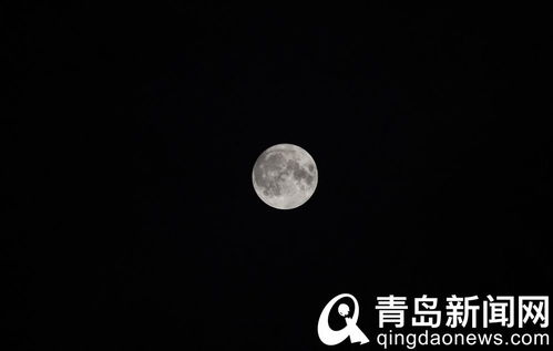 中秋之夜月朦胧 朦胧秋月情更浓 