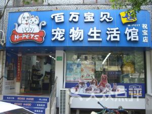 上海虹口区宠物店宠物市场排行