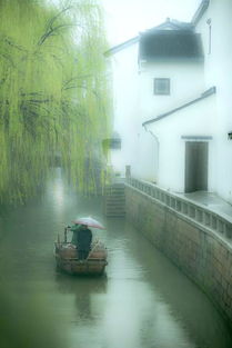 又到江南烟雨时,美醉了