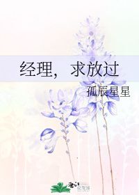 经理,求放过 孤辰星星 