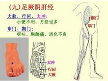 经络 五行图,五行体质 五行蔬菜,学中医的捷径