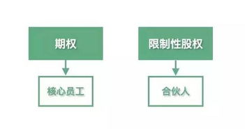 股权激励计划 郭凡生教你制定创业型公司方案