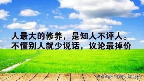 感悟人生的经典句子