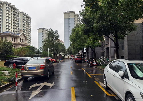 上海一小区尝试取消1125个 固定车位 遇阻 小区停车新规如何落地