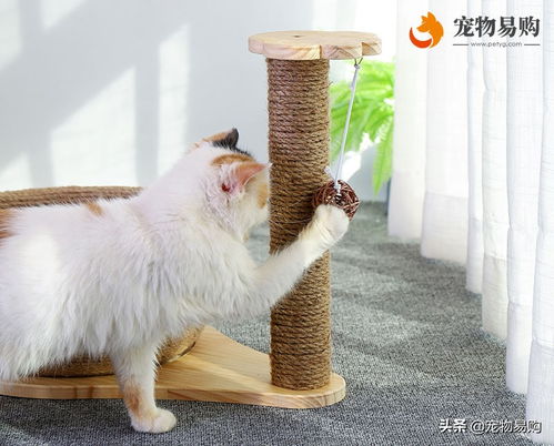 制作猫爬架需要的猫抓柱时绕麻绳需要上胶吗