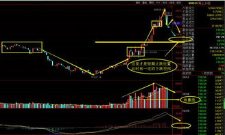 请问股票大跌后，反弹以涨停板出现，说明了主力什么背后意图