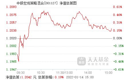 中银宏观策略混合基金怎么样