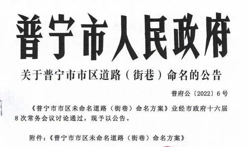 定了 普宁市区2349条道路正式命名,涉及7个街道