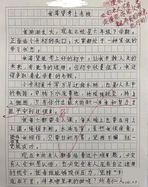 小学生作文 考上名校 刷爆朋友圈,看到作文结尾,家长泪目了