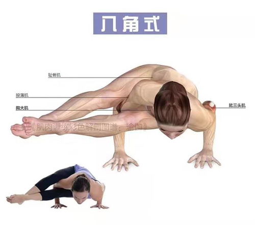 瑜伽里的支撑类体式,让你的上半身更加有力
