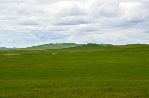 带着妈妈,从广州到内蒙古,探访最美草原之一乌拉盖