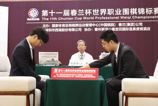 中国小伙围棋比赛*是,中国有多少位围棋世界*