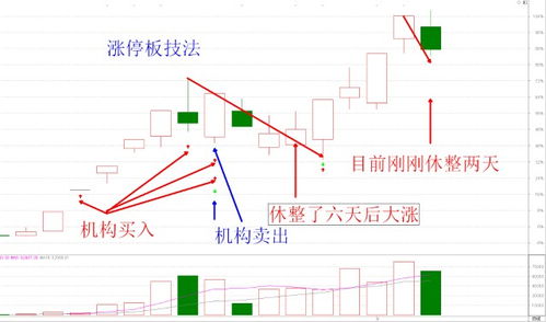 不炒房了，也不炒金，2-3元的股票也说价格高，炒什么好啊？