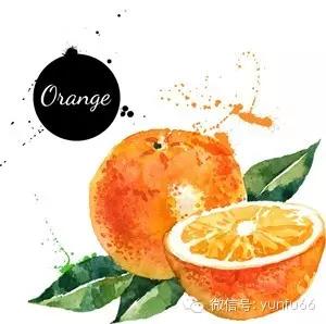 孕妇吃橘子的好处都知道吗 