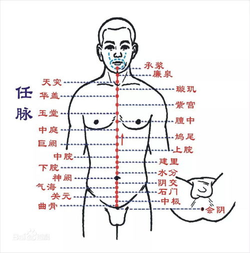 如何查阴年阴月阴日生