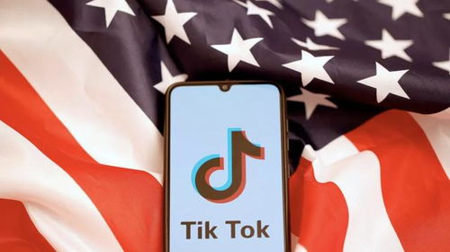 TikTok账号注册显示操作频繁怎样解决_tiktok运行环境课程