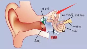 很冷很脏 的知识点 挖鼻孔能提高智商,睡觉打呼噜会变丑