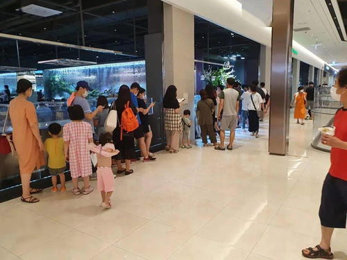 网红水族咖啡店,打卡安排 壹水族专栏