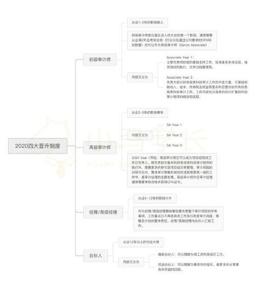 如果升不到合伙人或者高级经理，还有没有可能可以一辈子做审计？