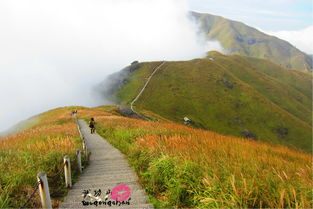 走在云端的日子 广州出发江西武功山