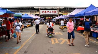 中山沙溪中心市场停车场能包月吗(沙溪地下停车场收费不免费)