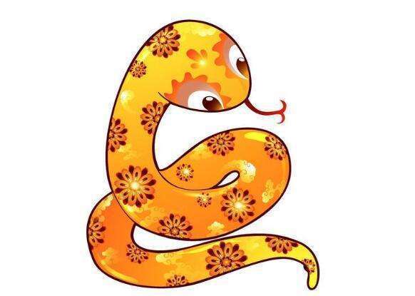 属蛇的人 多数含着金汤匙出生,为人圆滑,会成为家人有力的依靠