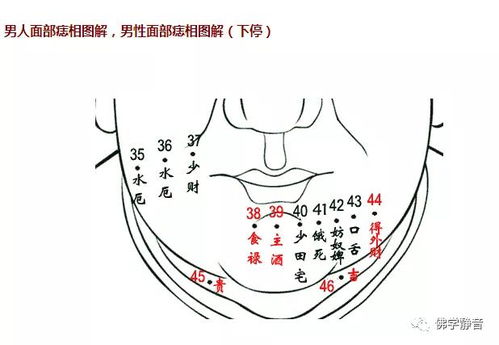 男人面部痣相图解