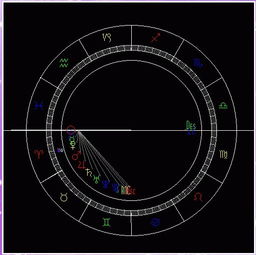 个人星盘解析 本人天蝎座 1989年11月12日出生.附上星座图,请各们大侠们详细解析下我的命盘 性别 女 