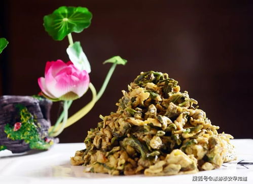 泰安人的春天,怎么能没有野菜