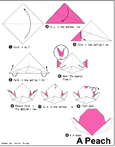 儿童简单桃子手工折纸教程 